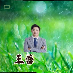 王蕾